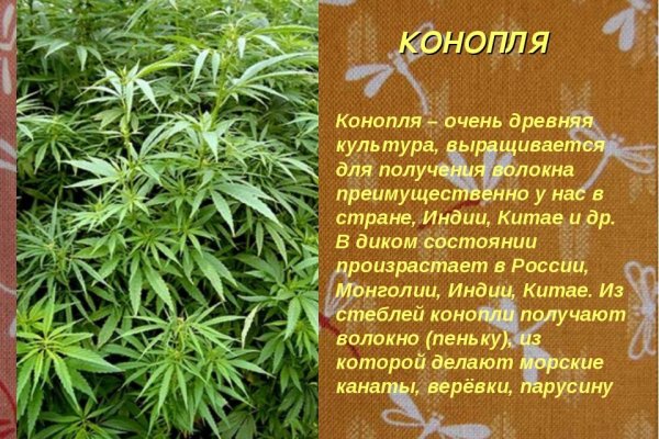 Кракен 2kr pro