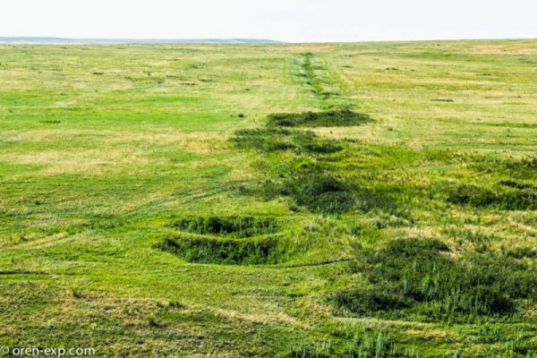 Ссылка на кракен krawebes