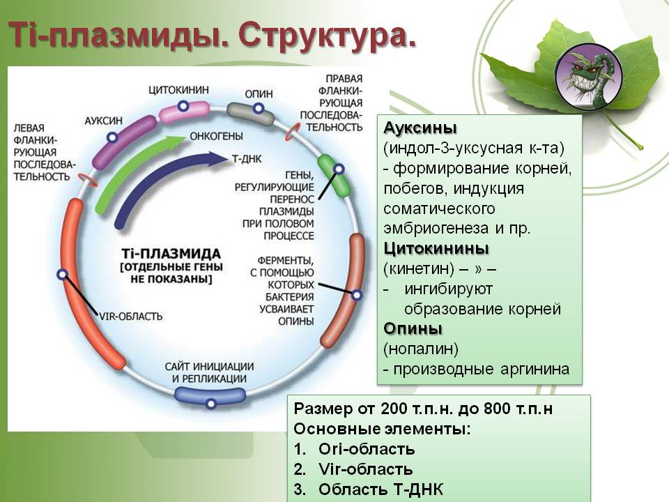 Кракен ссылка стор