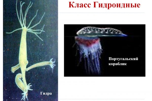 Кракен ссылка 2 веб