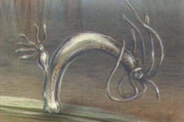 Кракен ссылка trikky