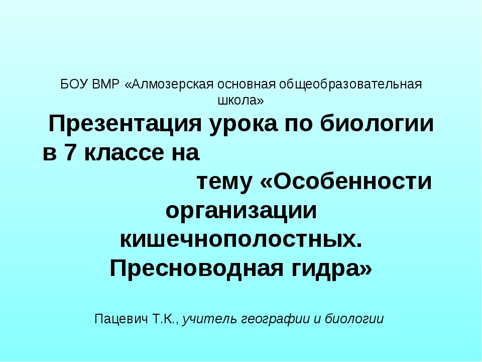 Solaris даркнет