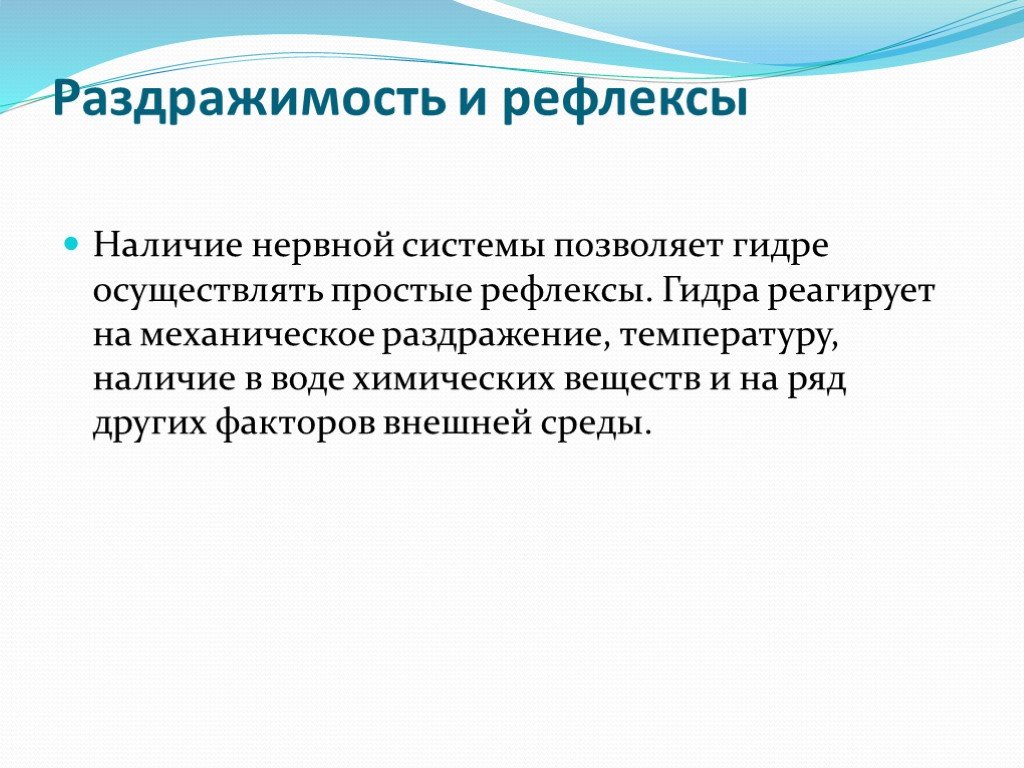 Кракен сайт krknwebs